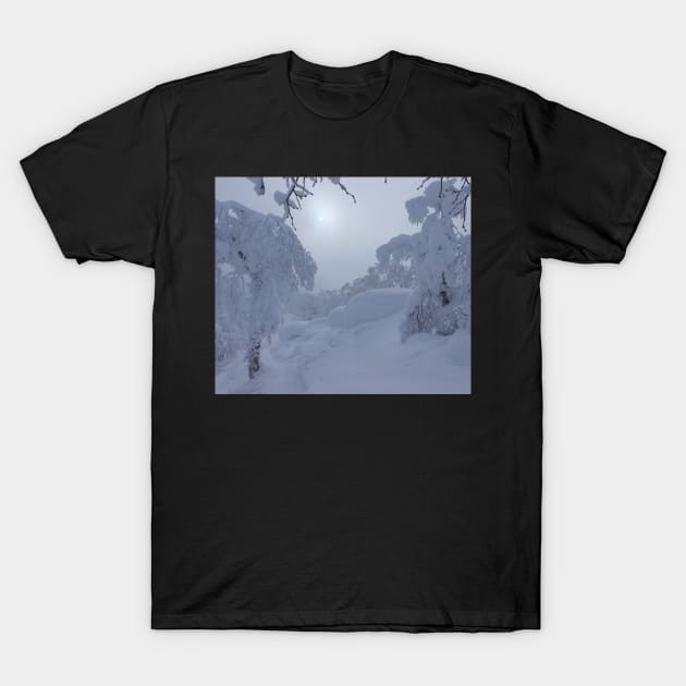 Winter Wonderland Fresh Snow Photo T-Shirt by Artstastic